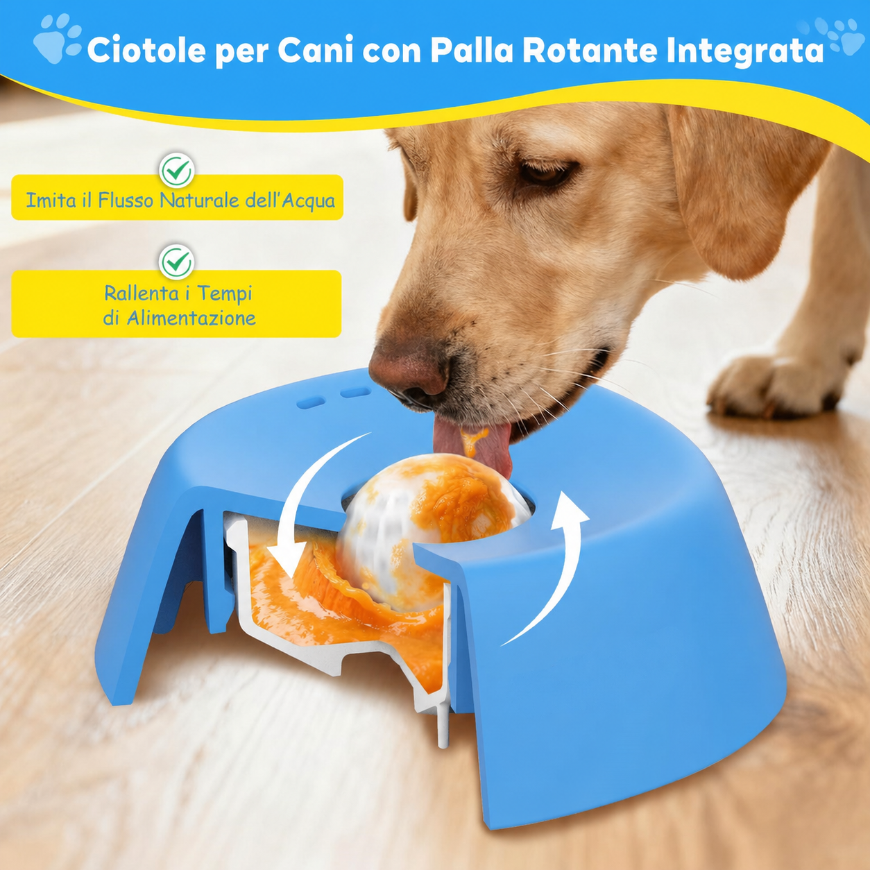 Ciotola Anti-ingozzamento